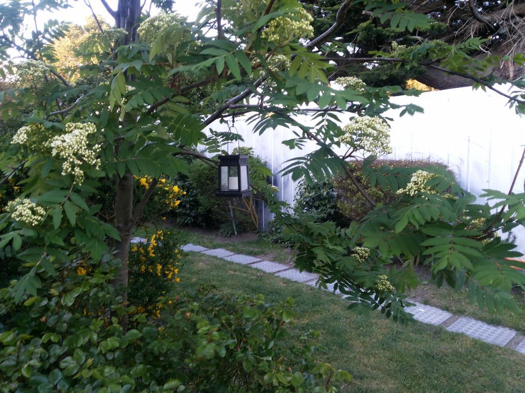 Valyak Rent Apart Hotel - Servicios Integrales Punta Arenas Rum bild